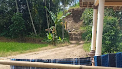 Tambang galian C milik yus yang makin marak dan semakin merajalela di desa tegalsangut kecamatan  sempu kabupaten Banyuwangi. 