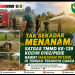 Tak Sekadar Menanam, Satgas TMMD ke-129 Kodim 0102/Pidie Rawat Harapan Petani di Tengah Teriknya Cuaca