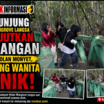 Pengunjung Hutan Mangrove Langsa Dikejutkan Serangan Gerombolan Monyet, 3 Orang Wanita Panik