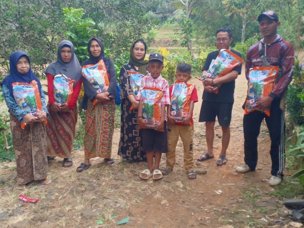 Pemrogram tanam jagung hibrida bisi dua dari dinas pertanian BPP kac Pabuaran kab sukabumi ini