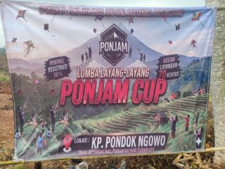 Open turnamen layang layang pinjam cup meriahkan warga kampung pondok ngowo desa sirnasari kac Pabuaran kab sukabumi