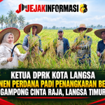 Ketua DPRK Kota Langsa Panen Perdana Padi Penangkaran Benih Gampong Cinta Raja, Langsa Timur